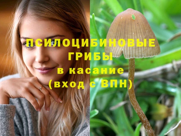 Альфа ПВП Балабаново